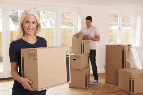Organised packing materials for homes and businesses in Dulwich
