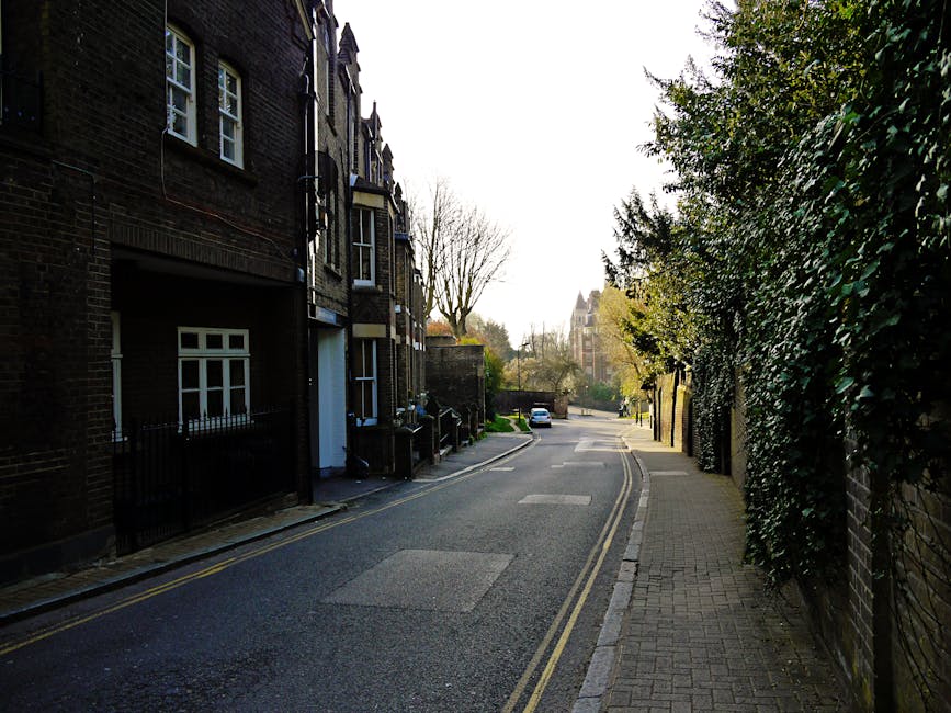 A narrow residential street on College Road in Dulwich, featuring Victorian-style brick houses on the left side with white-framed windows and front doors, some with small iron fences. The pavement on the right is lined with tall, dense greenery and trees, casting partial shadows. The road has double yellow lines along the curb and a single parked car further down the street. In the foreground, a moving van from Removal Van Dulwich is parked partially on the road with its rear doors open, revealing packed cardboard boxes, protective blankets, and plastic wrapping materials placed inside. Furniture items and large cardboard boxes are being loaded or unloaded with visible hand and lifting equipment such as trolleys and straps. The scene suggests an active home relocation or furniture transport process, with careful handling of household items in a confined space, illustrating a typical example of a removals service on a street with limited access, aligning with the content of Top tips for cramped access removals on College Road Dulwich.